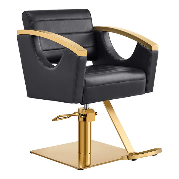Styling Chairs & All Purpose Chairs