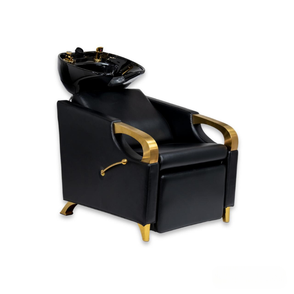 Aurum Luxe Backwash Unit