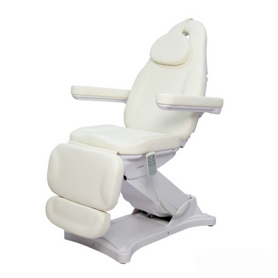 Benton Electric Multi-Purpose Chair