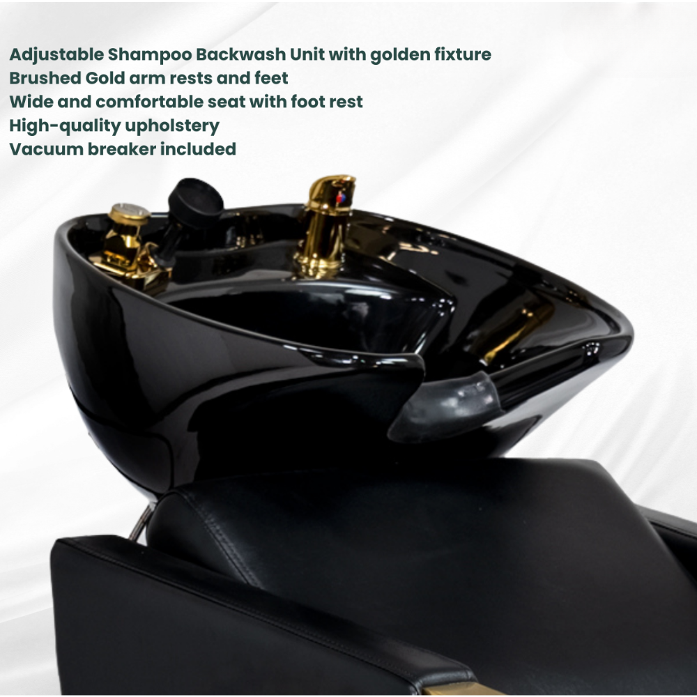 Aurum Luxe Backwash Unit