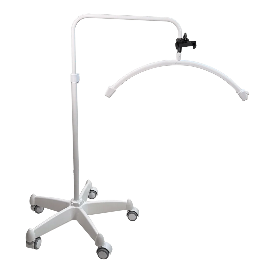 LED Floor Lamp